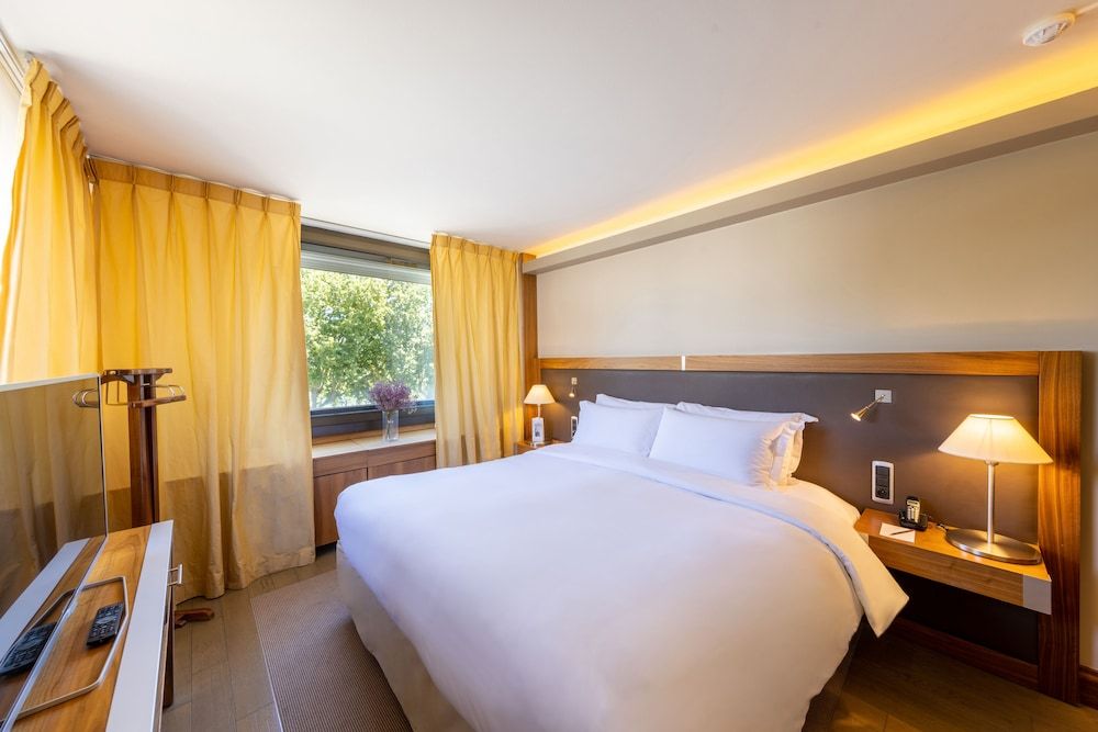 Sofitel Lyon Bellecour Classic Room, 1 Double Bed 7