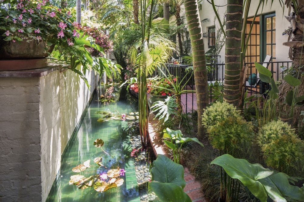 Four Seasons Resort The Biltmore Santa Barbara Junior Suite, Accessible (Jungle) 4