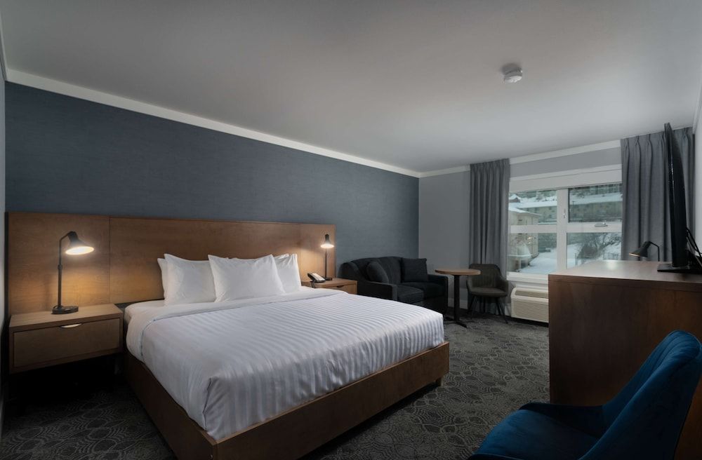 Standard Room, 1 King Bed, Non Smoking (with Single Sofabed;Pet Friendly)