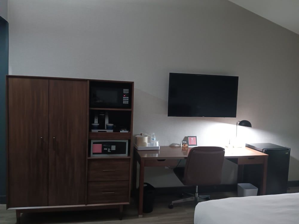 Suite, 1 King Bed (Mobility/Hearing Access, Roll-In Shwr)