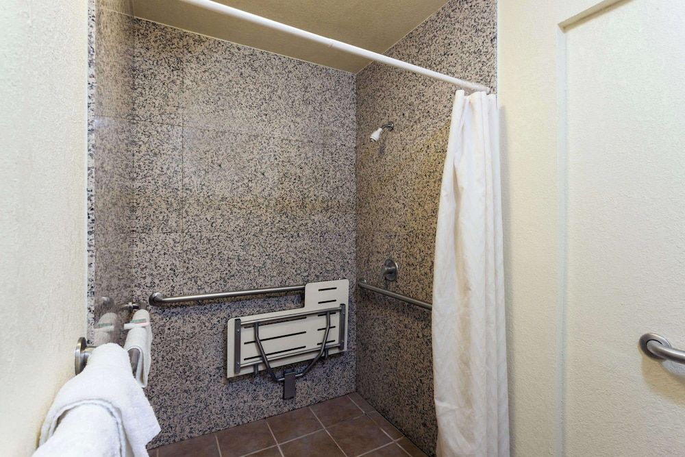 Room, 1 King Bed, Accessible, Non Smoking (Mobility/Hearing, Roll-in Shower)