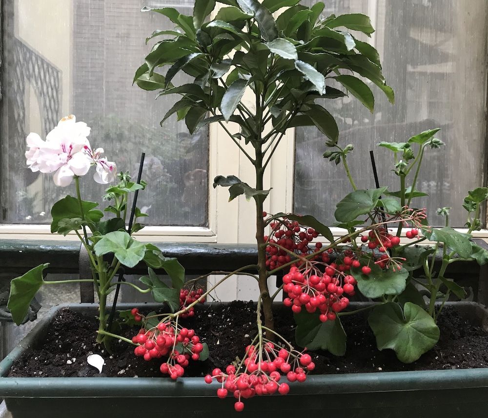 undefined Hôtel de France Invalides 9