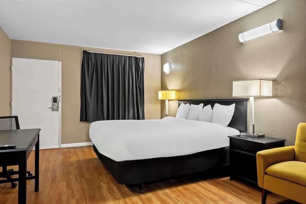 Room, 1 King Bed