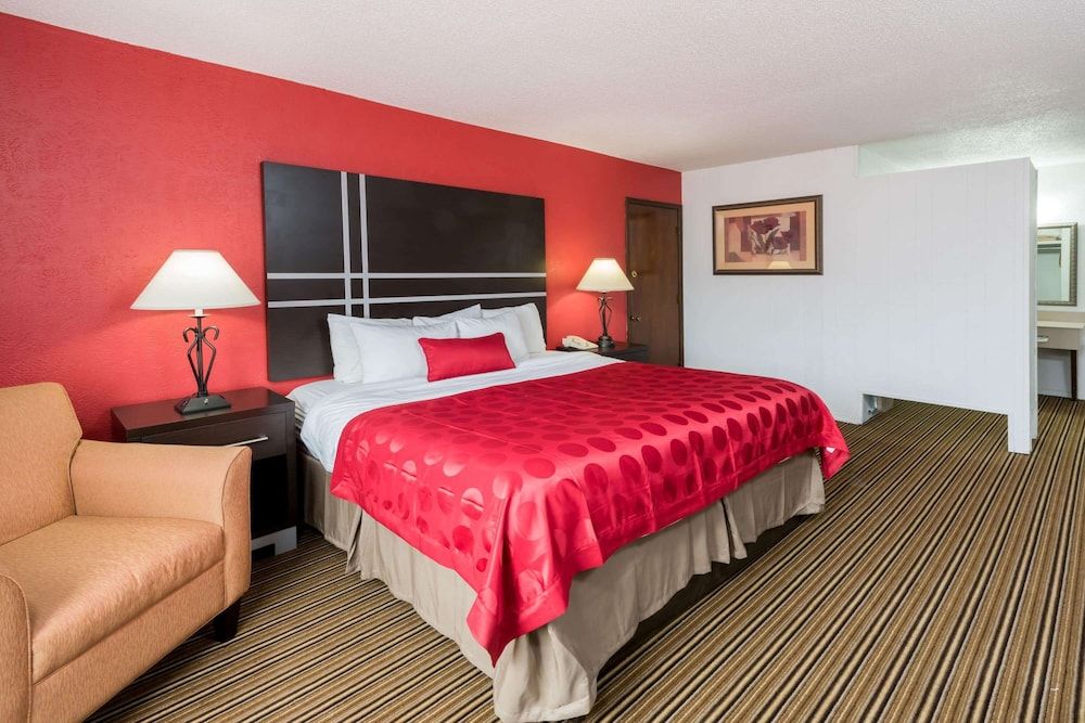 Deluxe Room, 1 King Bed, Non Smoking