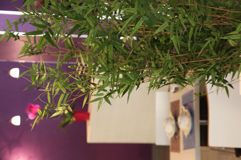 undefined Icône Hôtel 9