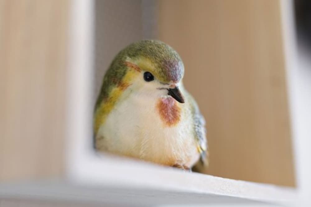 Hôtel Restaurant l'Aubergade Quadruple Room 5