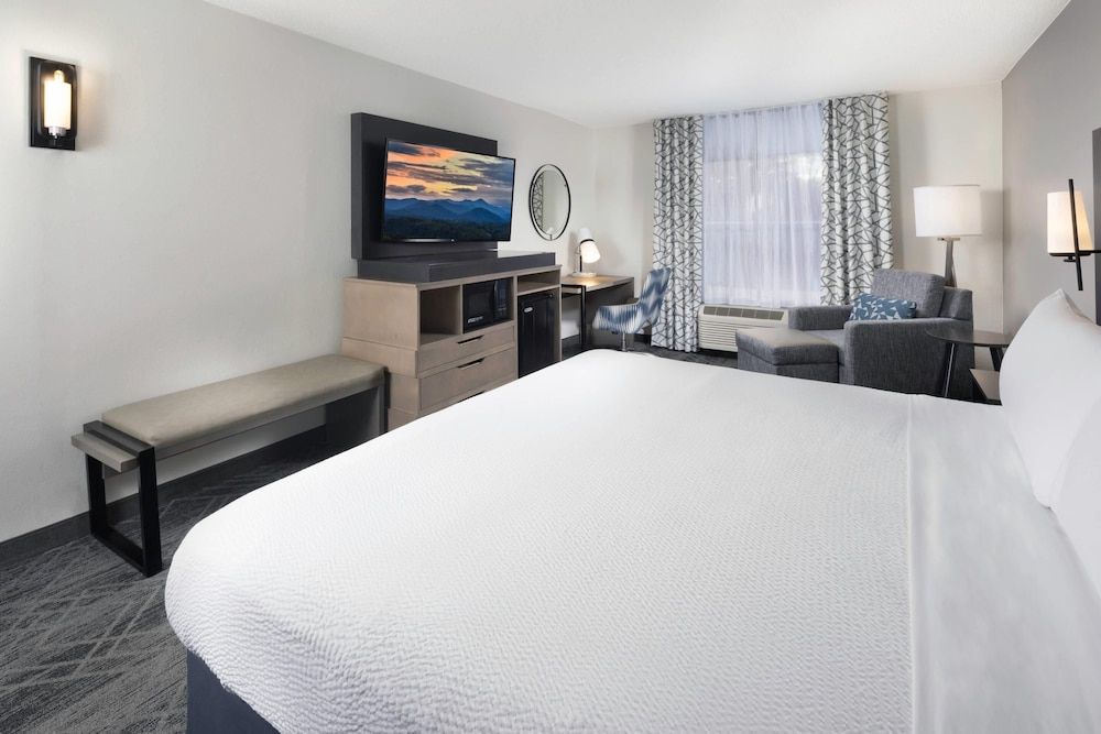 Room, 1 King Bed, Non Smoking