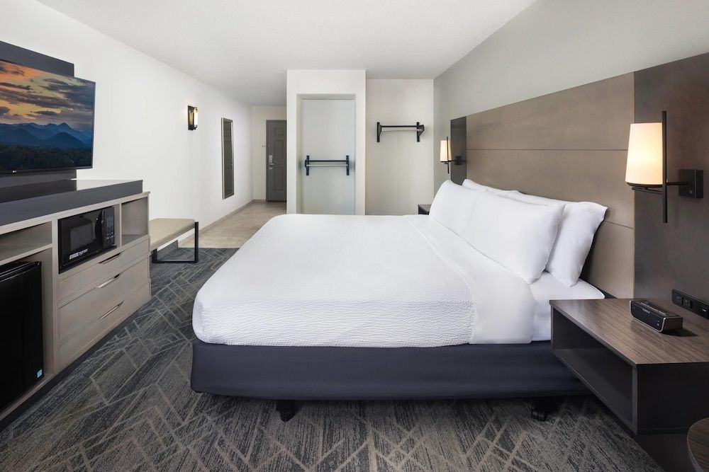Room, 1 King Bed, Accessible, Non Smoking (Roll-in Shower)