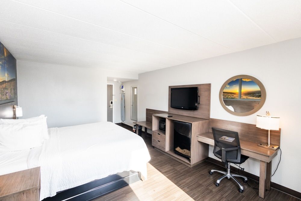 Room, 1 King Bed, Non Smoking