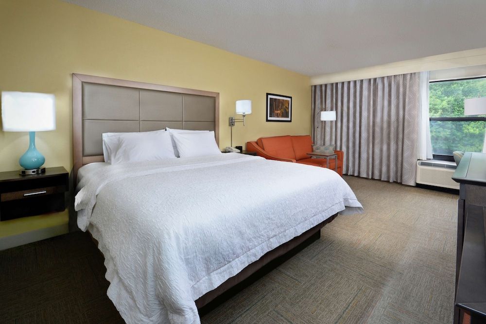 Standard Room, 1 King Bed, Non Smoking