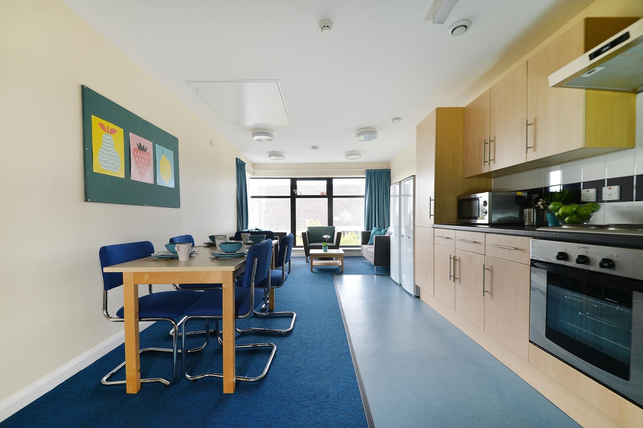 Newport Student Village - Campus Accommodation Double en-suite Room  3