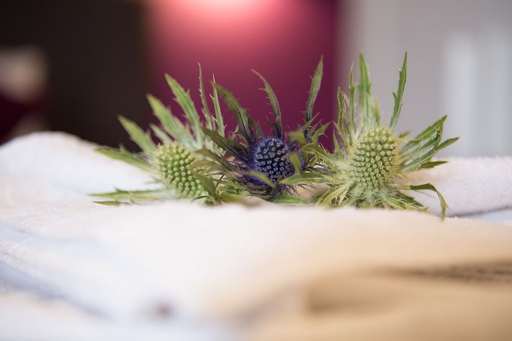 undefined The Spires Serviced Apartments Edinburgh 9