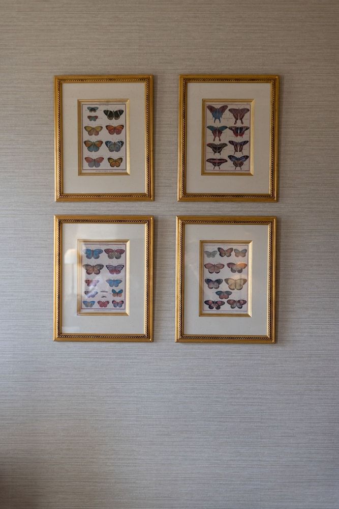 undefined Hapimag Resort Edinburgh 8