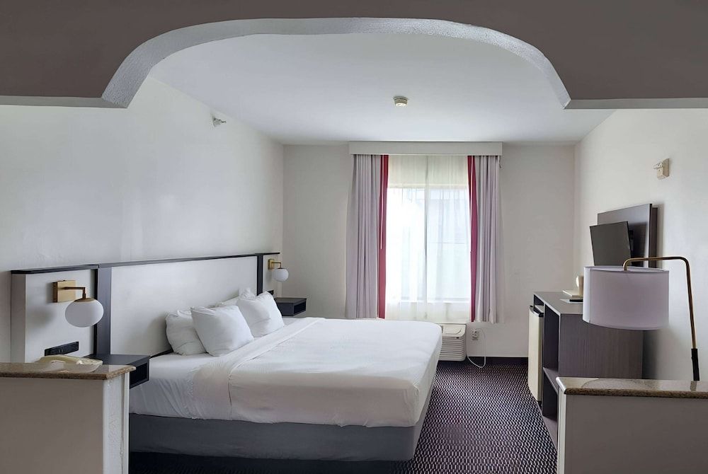 Studio Suite, 1 King Bed with Sofa bed, Non Smoking