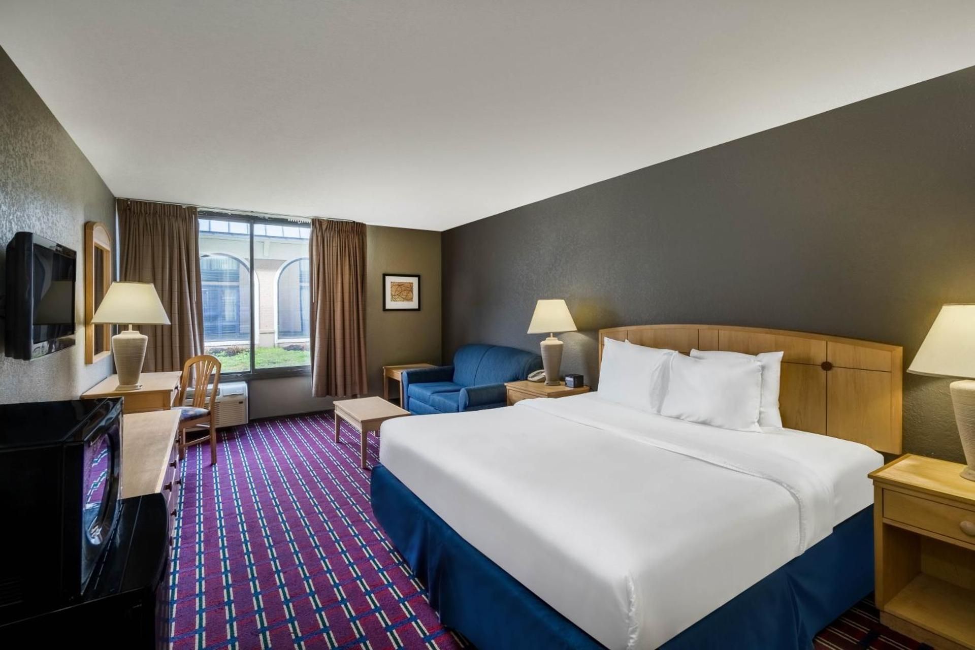 1 King Bed, Deluxe Room, Non-Smoking