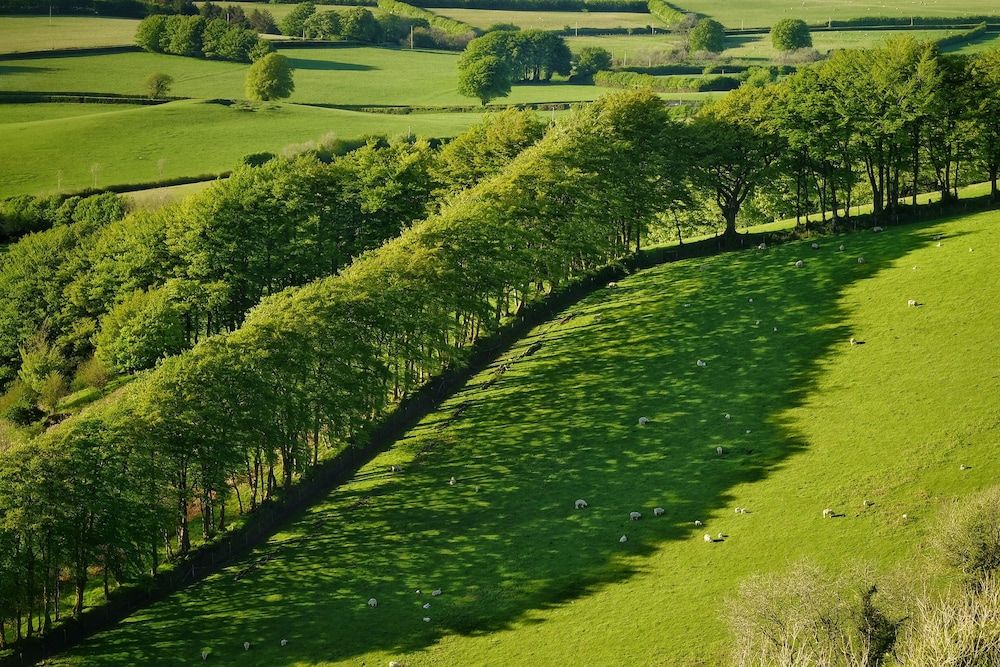 Exmoor White Horse Inn Superior Room, 1 King Bed 9