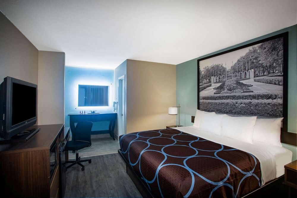 Room, 1 King Bed, Non Smoking