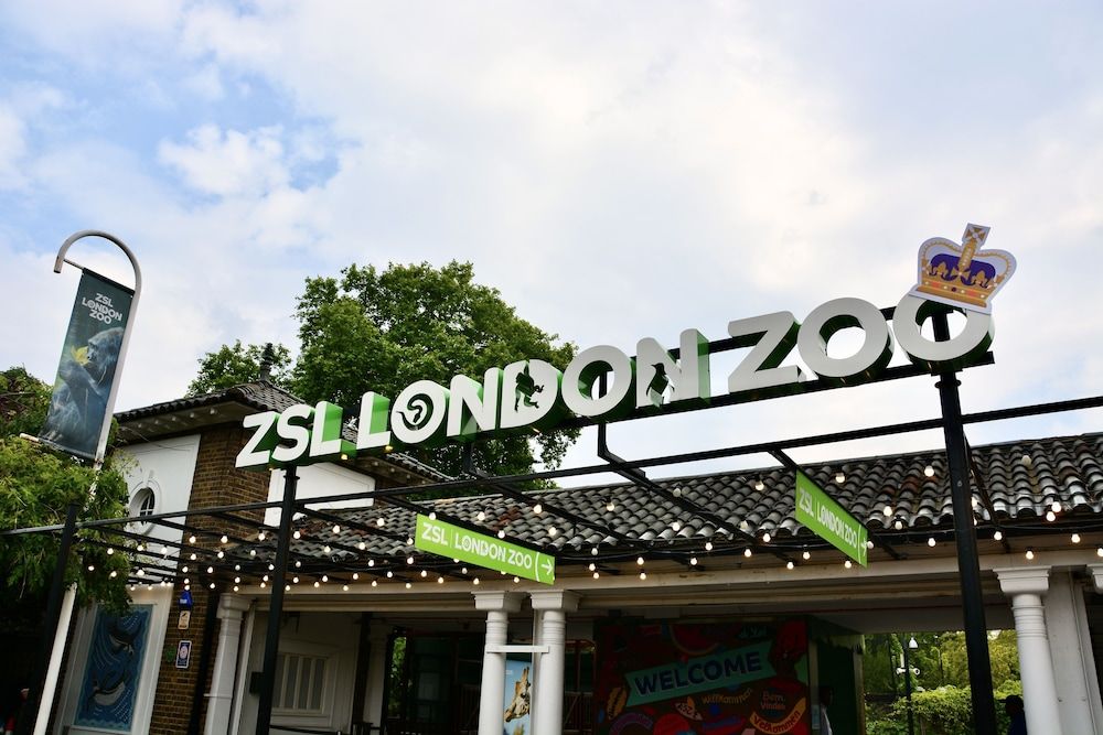 Children's Play Area