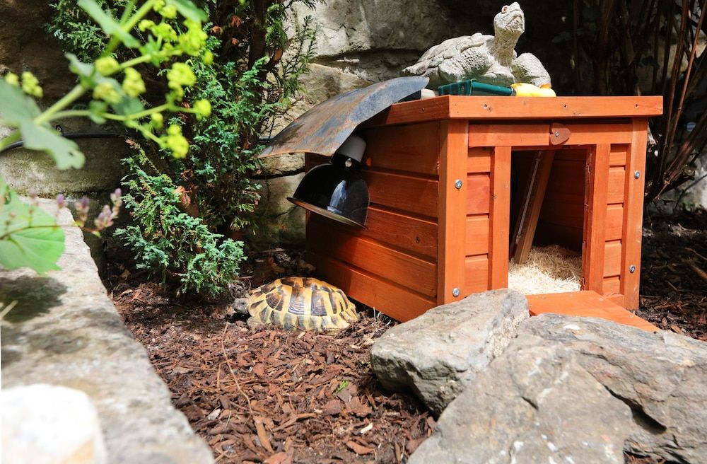 undefined Lauderville Guest House 7