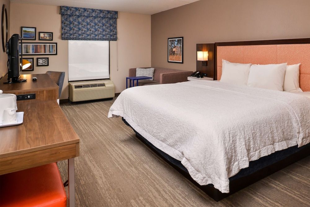 Room, 1 King Bed, Accessible, Non Smoking