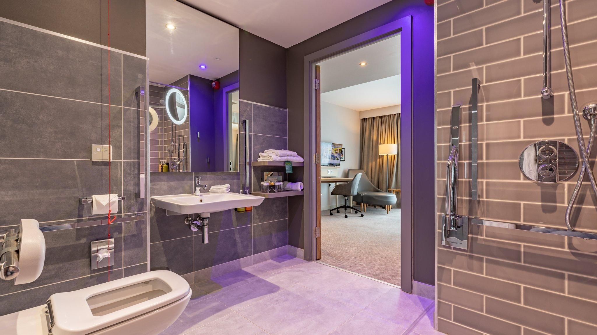 1 King Bed Suite Accessible Sofa Bed