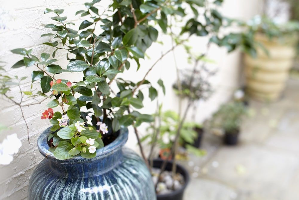 undefined B+B Belgravia 9