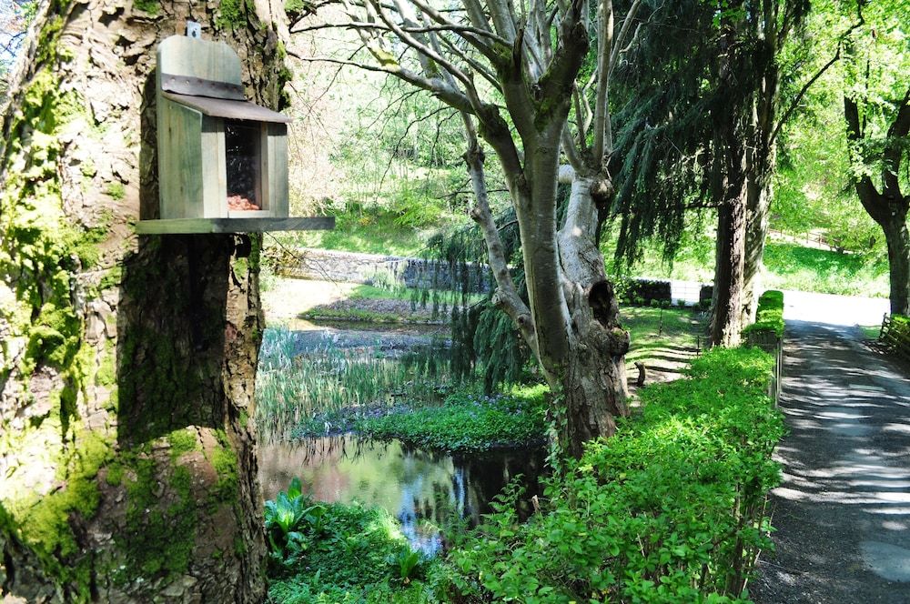 Craigmhor Lodge & Courtyard Suite, Balcony 7