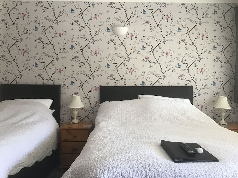 Family Twin Room (Room 7 - Room Only)