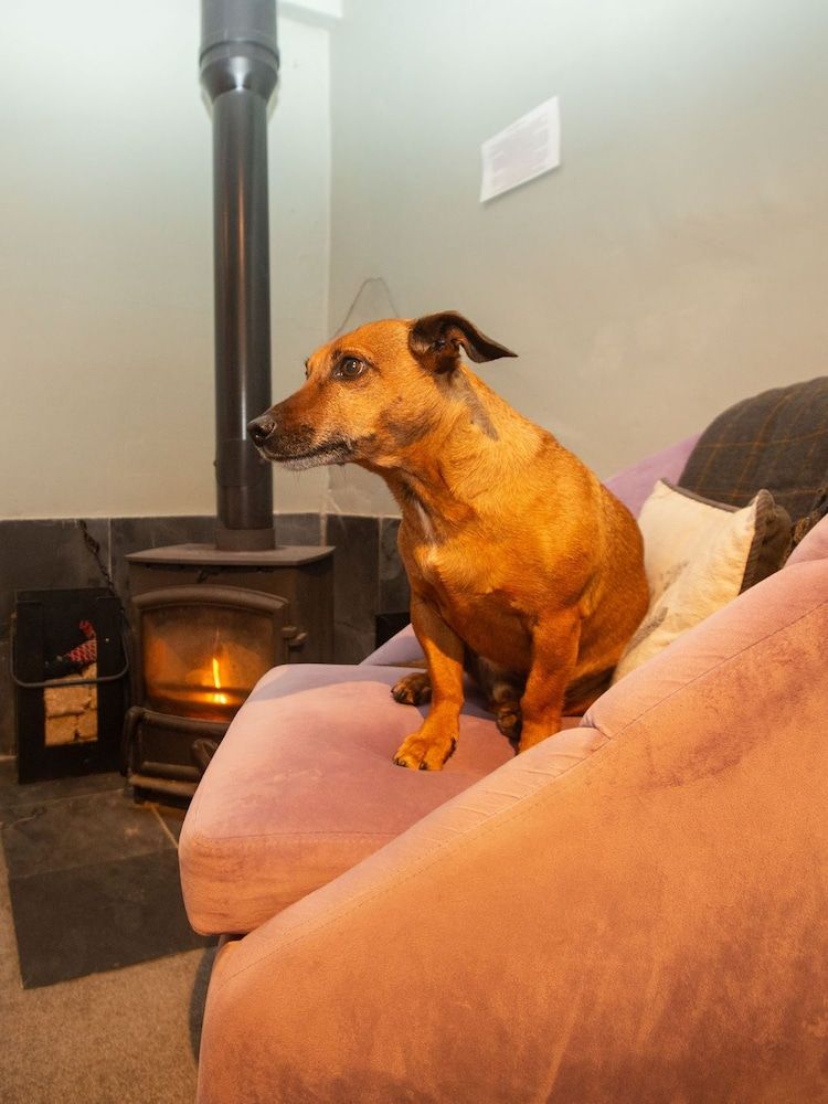 High Paradise Farm Double Room, Ensuite (The Piggeries Room) 9