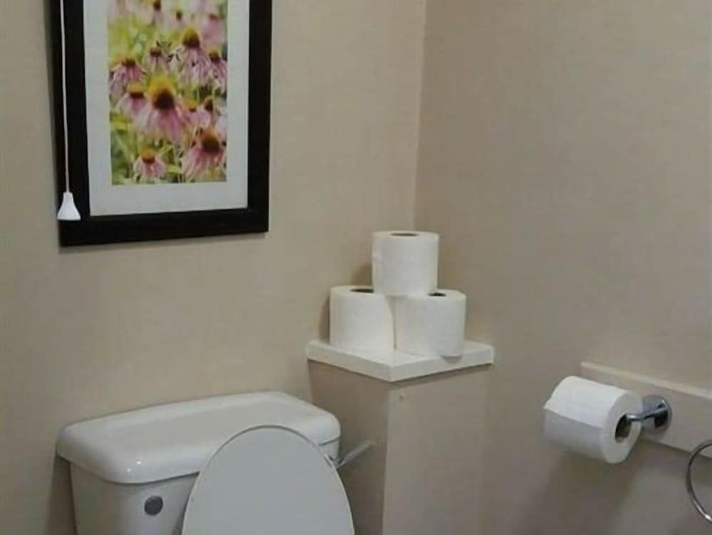 The Swan Inn Suite, Ensuite (DBL + 1SGL) 4