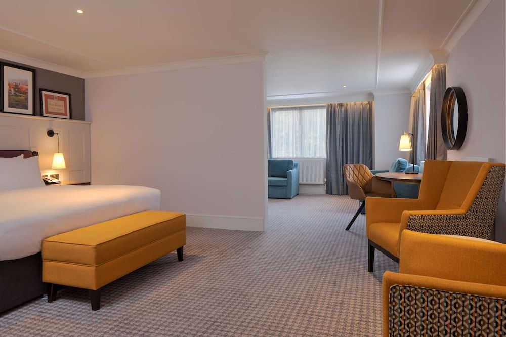 Family Room, 1 King Bed with Sofa bed