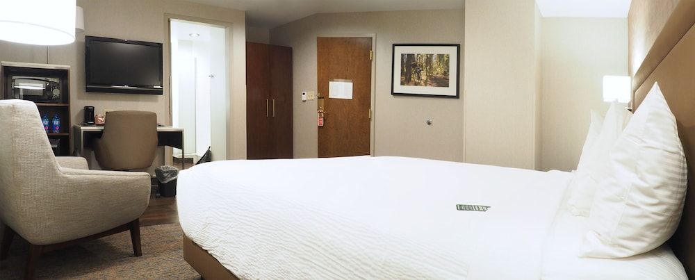 Room, 1 Queen Bed