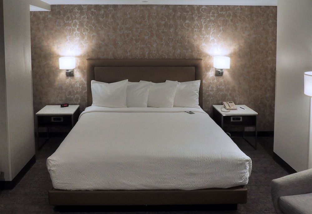 Room, 1 King Bed
