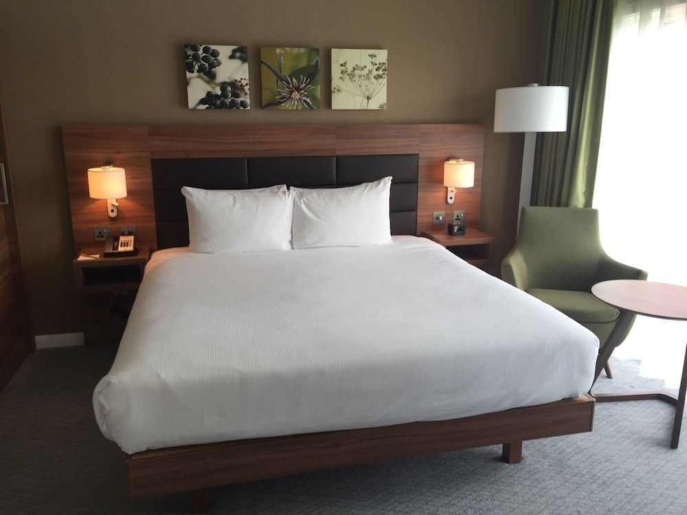 King, Suite, 1 Bedroom