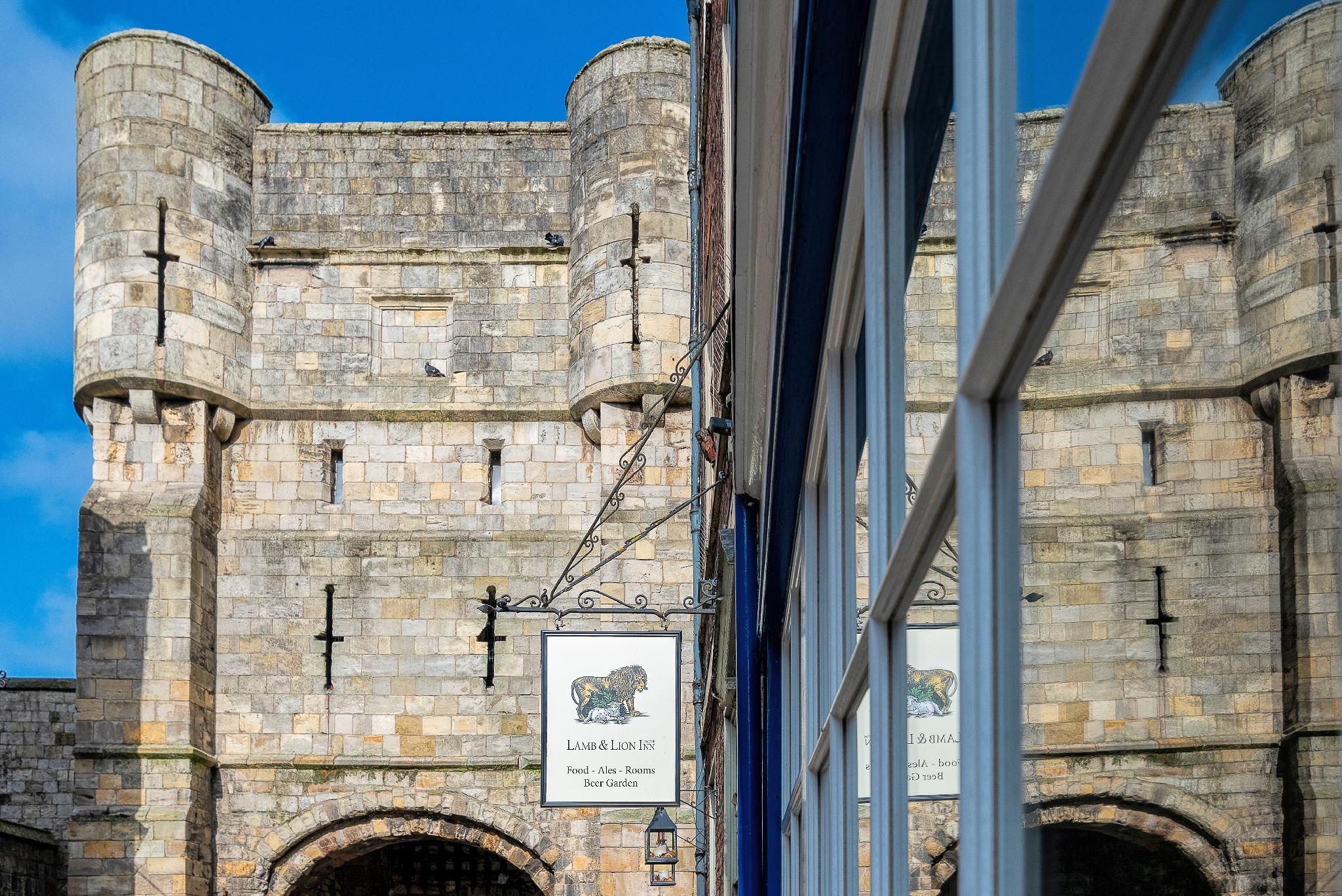 undefined The Fat Badger 