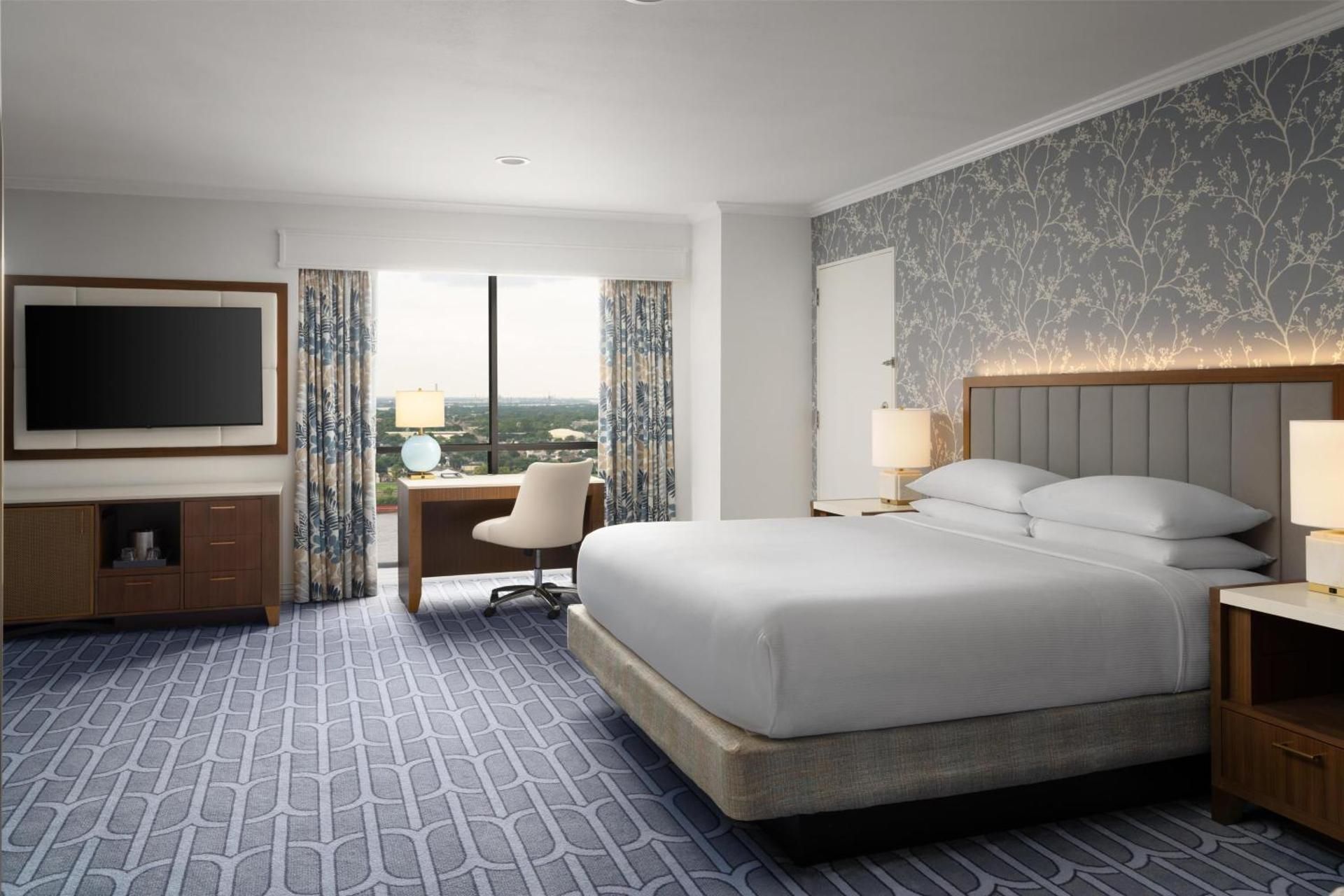 Premium Junior King Suite