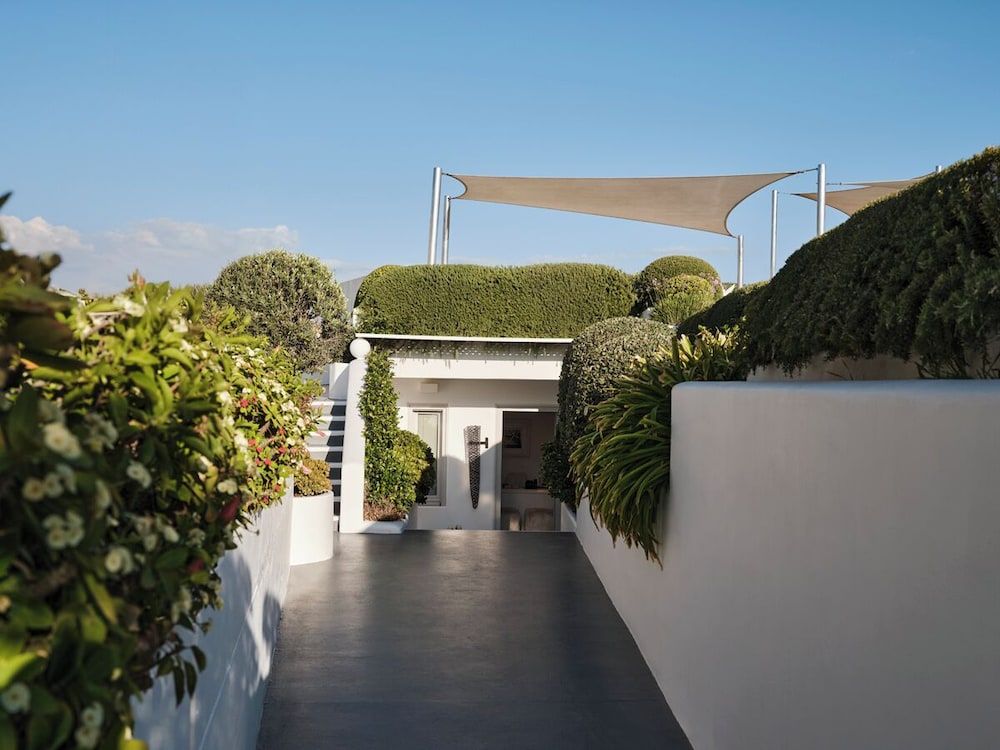 undefined Canaves Sunday 6