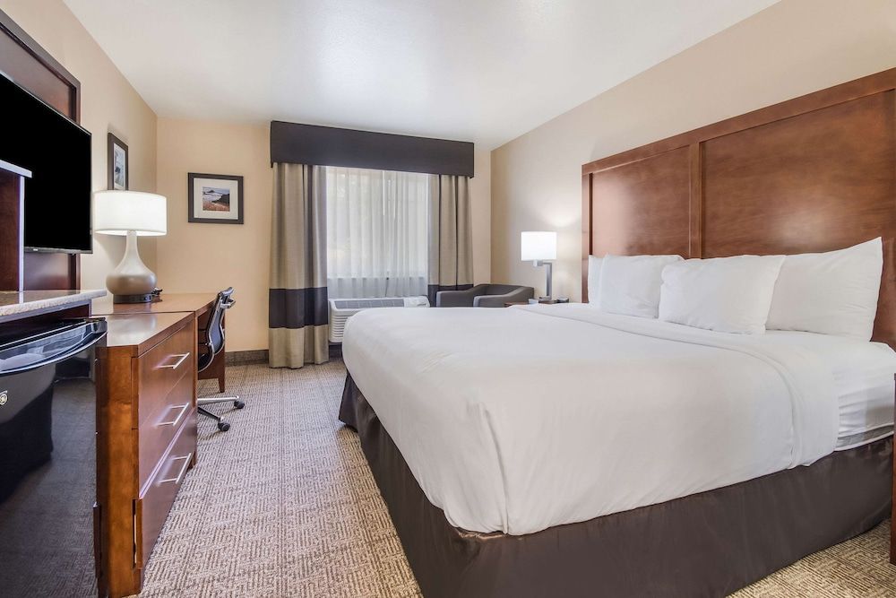 Room, 1 King Bed, Accessible, Non Smoking