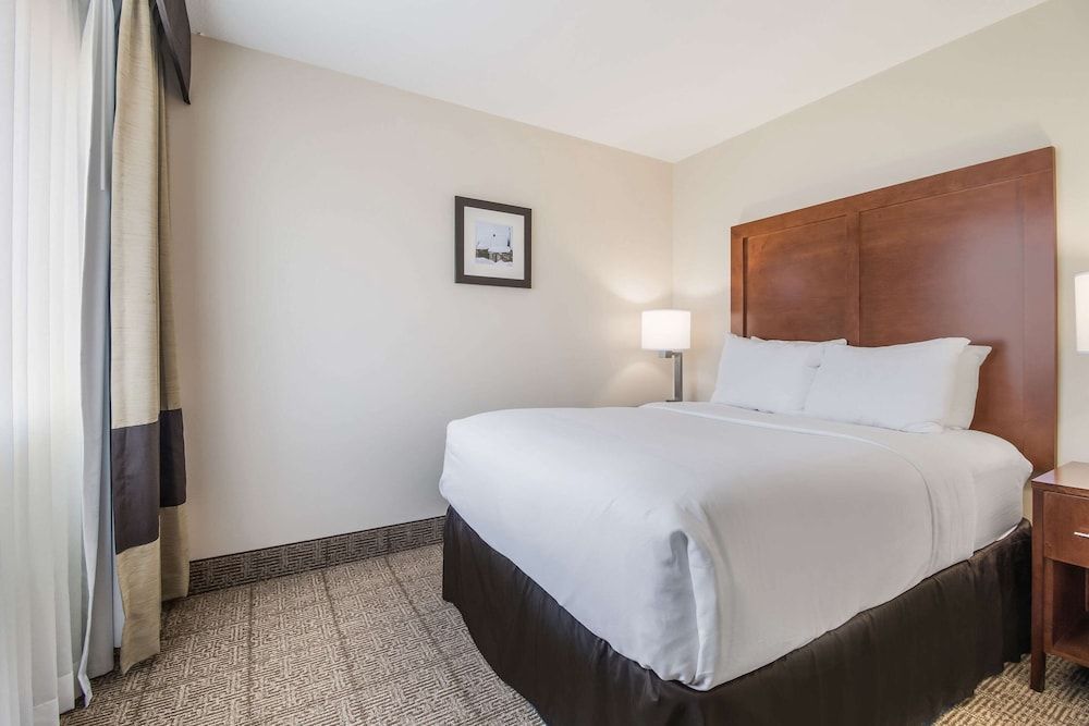 Suite, 1 King Bed
