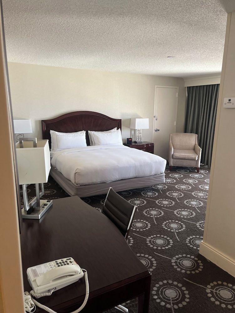 Deluxe Suite, 1 King Bed with Sofa bed, Non Smoking (Junior)