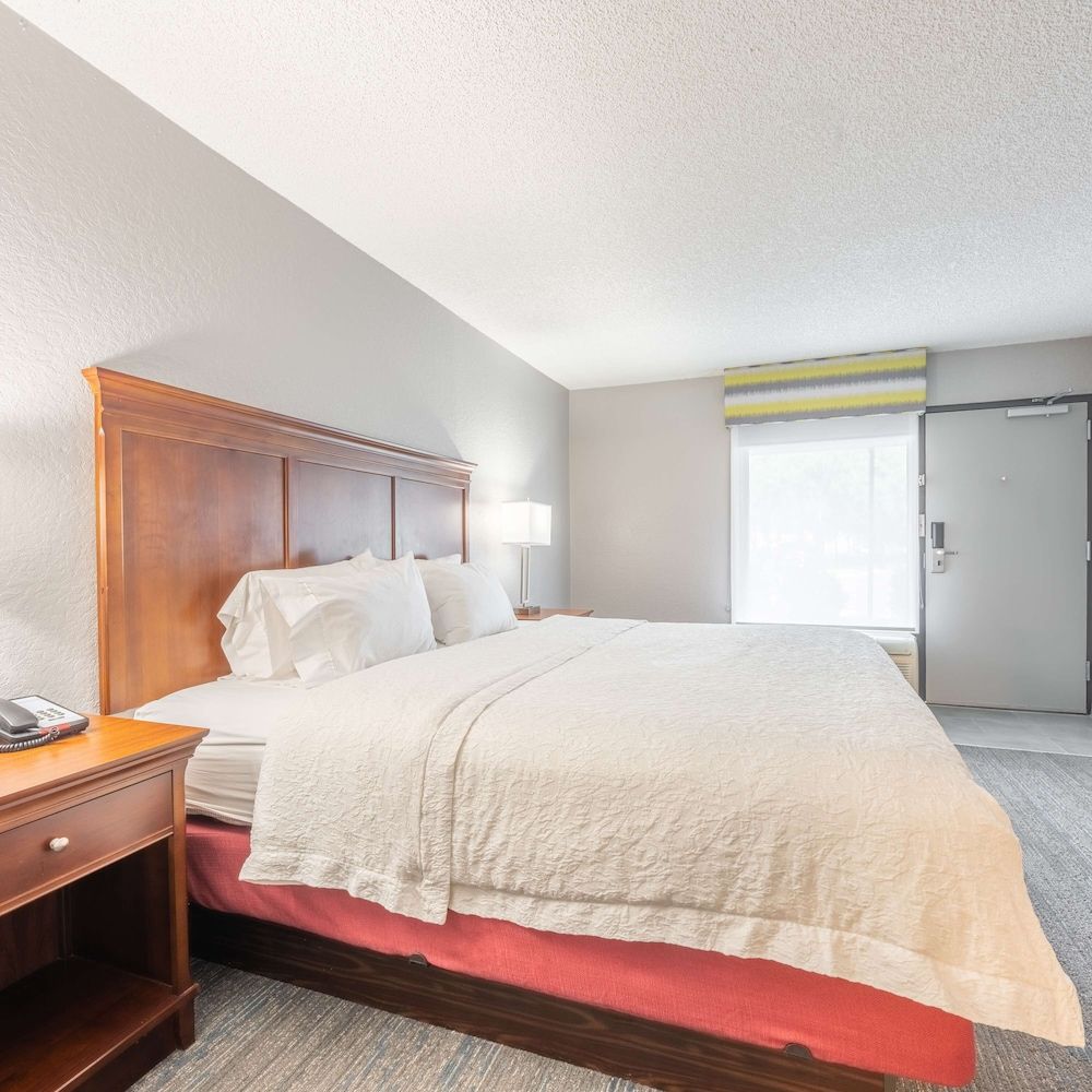 Room, 1 King Bed, Non Smoking