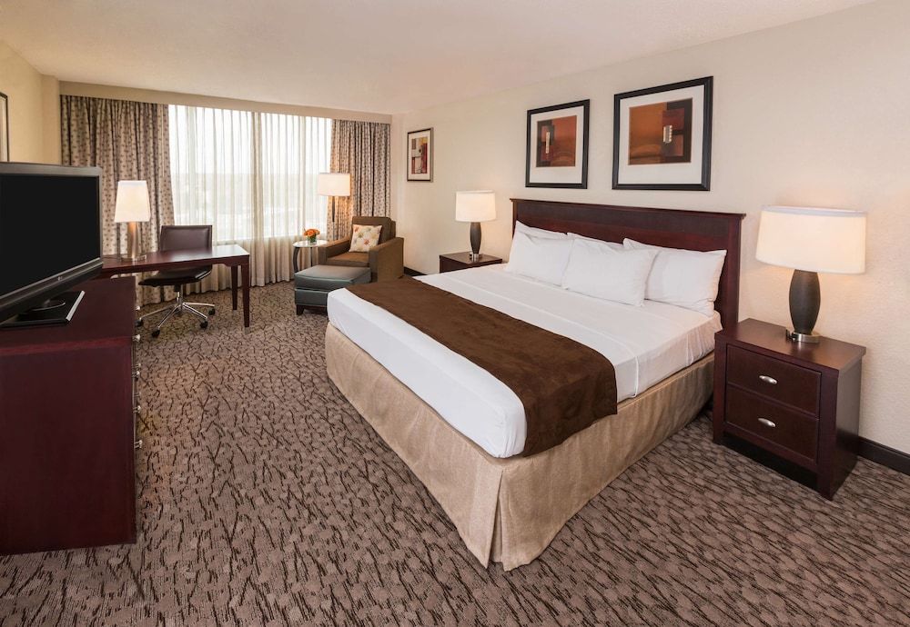 Room, 1 King Bed, Allergy Friendly