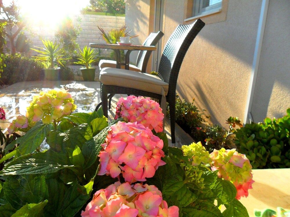 Apartments Pera Comfort Apartment, 1 Bedroom, Terrace 11