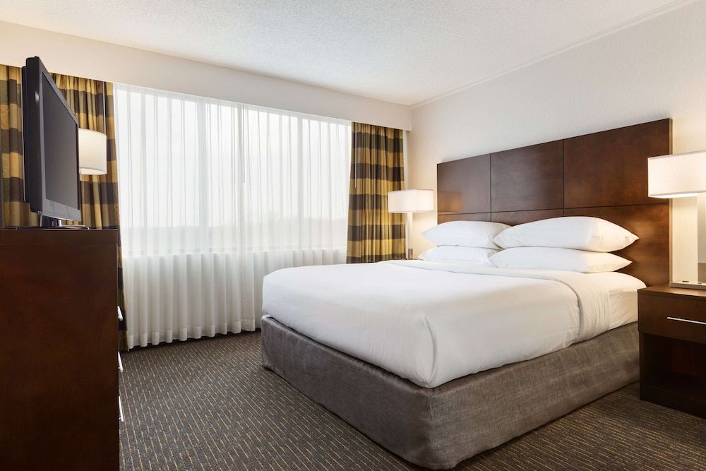 Suite, 1 King Bed, Corner