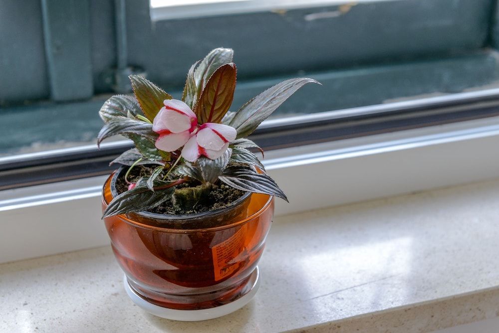 Studio Apartments Stradun Studio, 1 Double Bed, City View 46