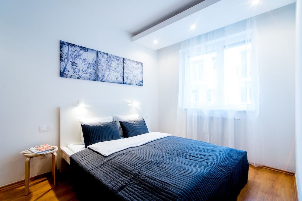 undefined Vagabond Corvin 3