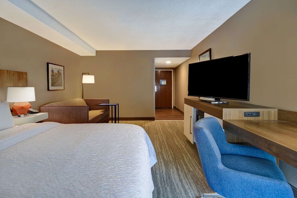 Room, 1 King Bed with Sofa bed