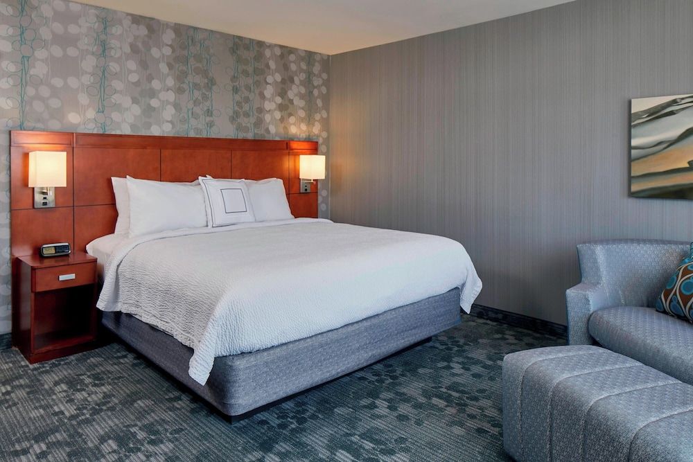 Room, 1 King Bed with Sofa bed (Hearing Accessible)