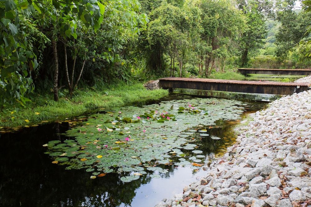 undefined La Pari-Pari 6