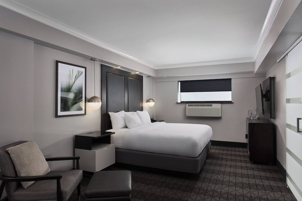 Room, 1 King Bed